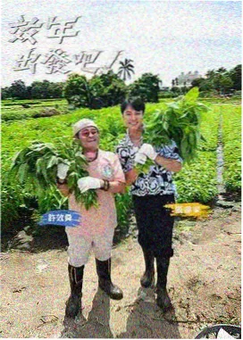 深夜试吃局卡片封面示意：橱窗灯光与菜单卡片的拼贴